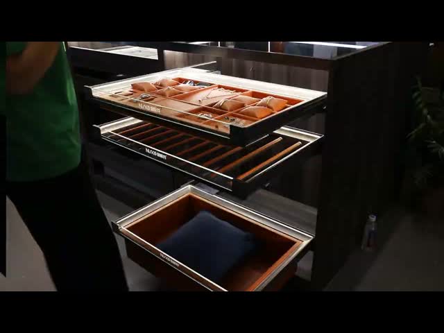 Pull Out Closet Jewelry Box Soft Close Wardrobe Accessories Tray Storage Solutions