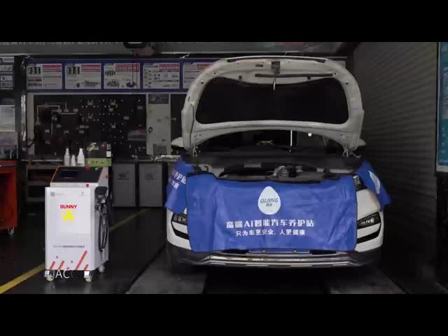 Visible Car AC Evaporator Cleaning AC system Sterilization System With Endoscope 220V