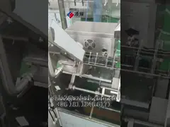 Closed Ampoule Filling Machine for 1-10ml Glass Ampoule Type D with Fully Automatic Operation – Ideal for Vaccines and Hormones