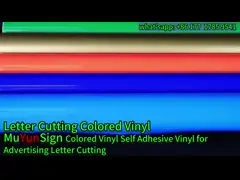 Color Letter Cutting Vinyl Sticker Full Color Self Adhesive Vinyl