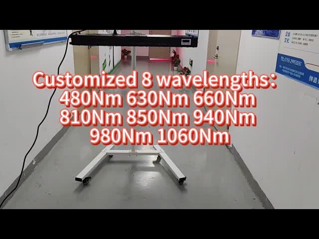 660nm 850nm 1000w Full Body Led Light Therapy Commercial Home Use