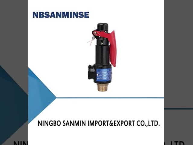 N Type Cast Iron Spring Safety Valve 35bar Wrench