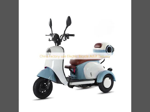 China Factory sale Electric Tricycle  Adult Delivery