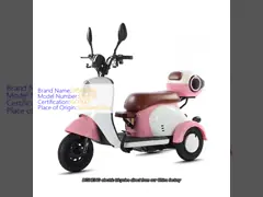 China Factory sale Electric Tricycle  Adult Delivery