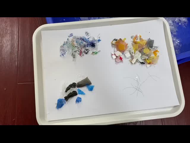 Intelligent Plastic Sorting Equipment 304 Stainless Steel Structure Plastic Product Color Sorting Machine