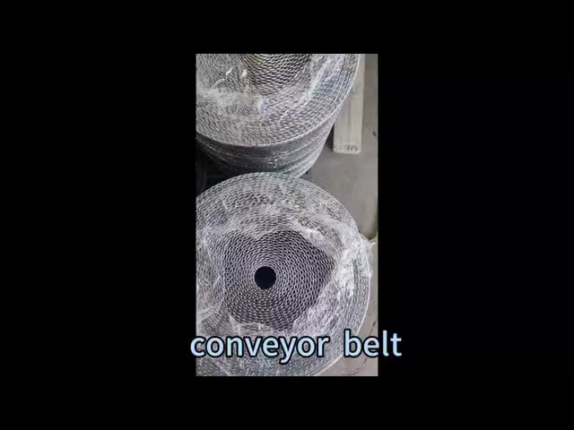 Ladder Link Wire Mesh Conveyor Belt 5mm To 15mm Chain Pitch