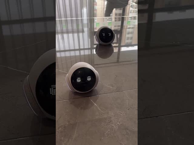 Virtual Pet Trainer AI Robot Durable Behavioral Analysis AI-Powered App Control