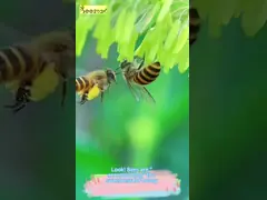 China 70# Microcrystalline Wax White Granules Wax Micro Crystalline Wax In Pellets supplier