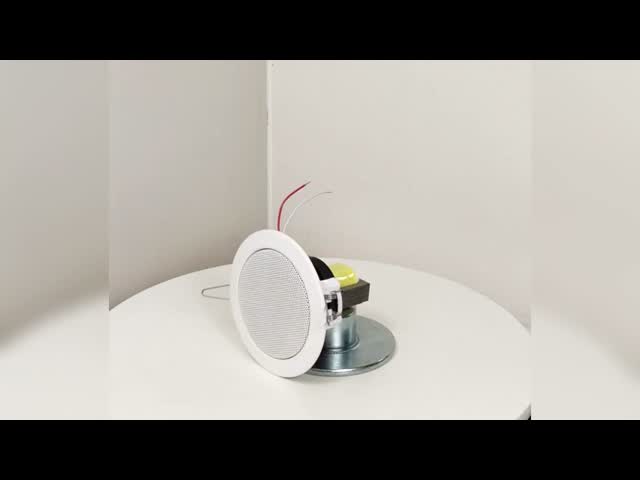 3-inch Economical Ceiling Speaker 6W Iron Material Sound Elegant Design OEM ODM for Office Hotel