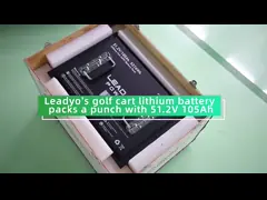 48V 50Ah 51.2V2 150Amp LiFePO4 골프 카트 배터리 변환 키트, 5년 보증