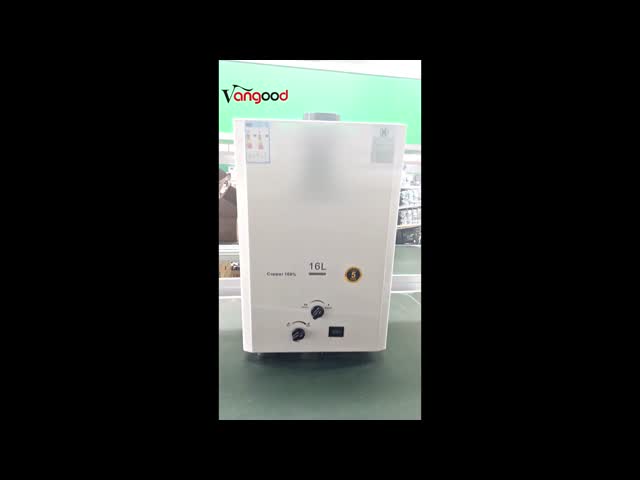 Residential 16L Thermostatic Gas Water Heater Balanced Flue System Safe Direct Exhaust