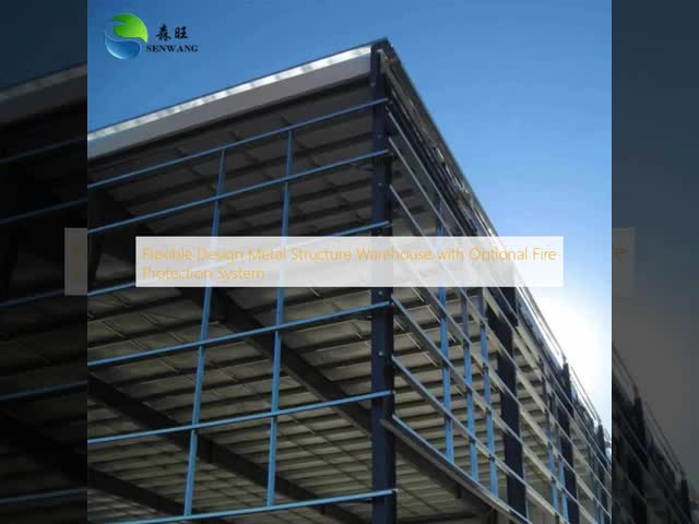 Flexible Design Steel Structure Warehouse with 30~200kg Per Sqm Snow Load and Optional Fire Protection System