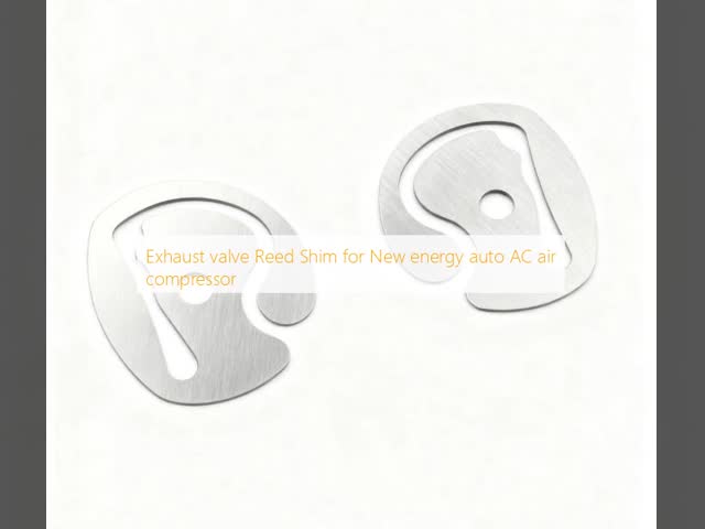 Front/Rear Brake Disc Rotor W/Screws for EU260 New Energy Vehicle A/C Compressor valve plate with customization