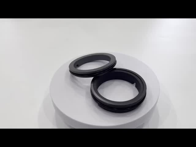 Mechanical Seal Dw3 Shaft Seal Sic/Car Epdm  La2359304 For Apv Pumps
