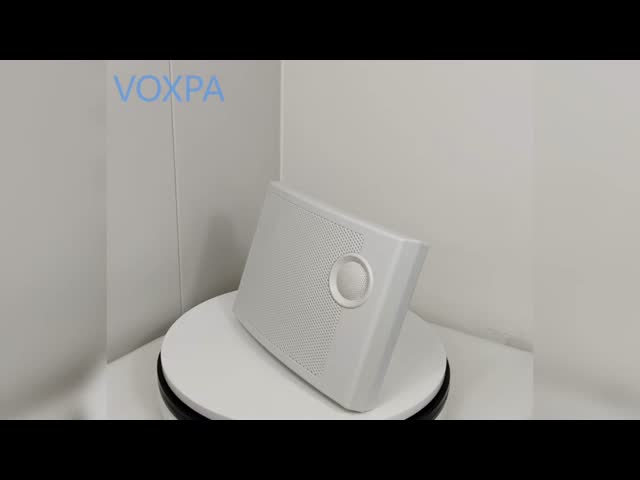 10W 100V Two Way Speaker Wall Mount Speakers Indoor Use PA Speaker OEM ODM