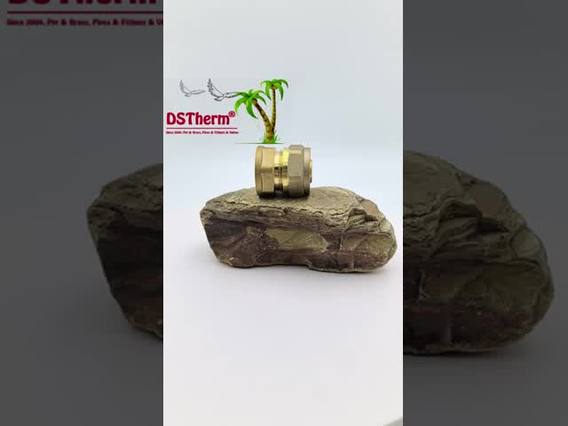 Pipeline Female Coupling PEX Brass Fittings For SS Tube