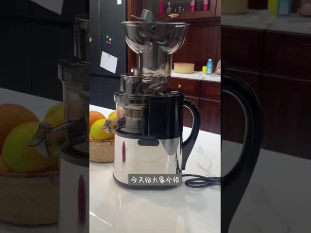 Household Large Diameter Vegetable Juicer Machine Juice Making Machine