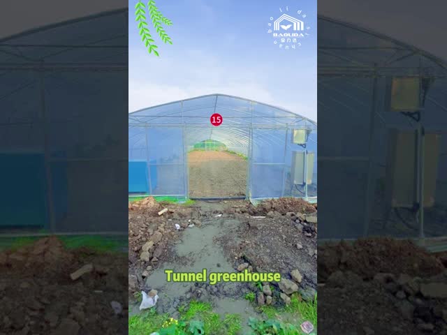 BAOLIDA Single-Span Greenhouse 6-10m Width 150/200micro PE Film Cover