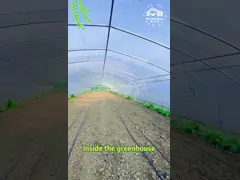 BAOLIDA Single-Span Greenhouse 6-10m Width 150/200micro PE Film Cover