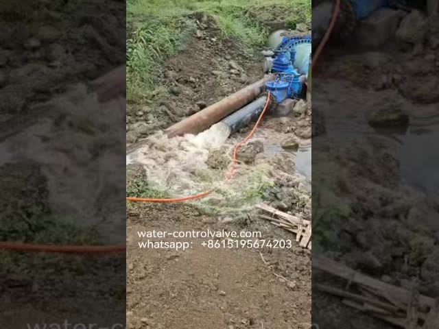 Water Systems Surge Anticipating Valve With Flange End Connection In Ral5005 Color And Easy Installation