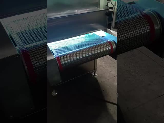 High-Speed UV Sterilization Machine for Food Packaging | Continuous Inline Disinfection