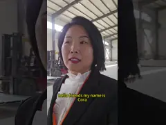 China PVC Coated Gabion Box Retaining Wall Iron Wire Mesh Hexagonal supplier