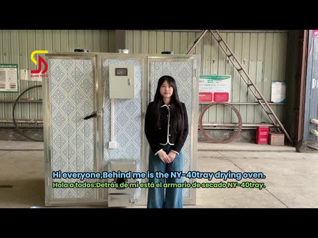 Food Industry Automatic Vegetable And Fruit Tray Dryer Machinery Okra Radish Industrial Dehydrator