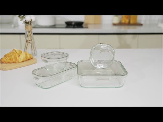 IKOO Borosilicate Glass Food Container Set 240ml-1370ml with Simple Lid