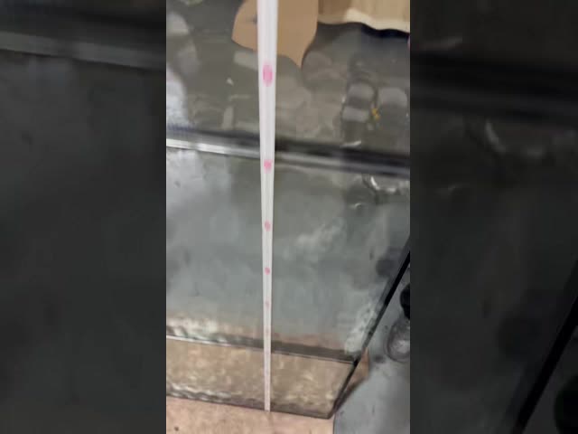 Flemish Insulated Glass 