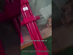 China Custom Hydraulic Luffing Cylinder For Rotary Drilling 16MPa 335mm Stroke supplier