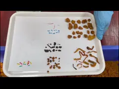 Chicken Meat Floss Sorter with high Accuracy