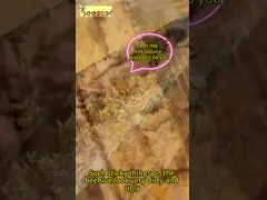 90%の健康な蜂プロダクトの強く自然なエキスの蜂のプロポリスのブロック video