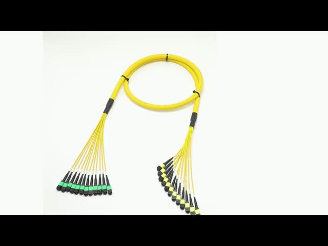 144F MTP MPO Fanout Cable SMG657A1 MPO APC to MPO APC Breakout Fiber Optic Patch Cord