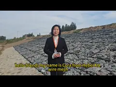 China PVC Coated Wires Gabion Mattress For Flexible And Permeable supplier