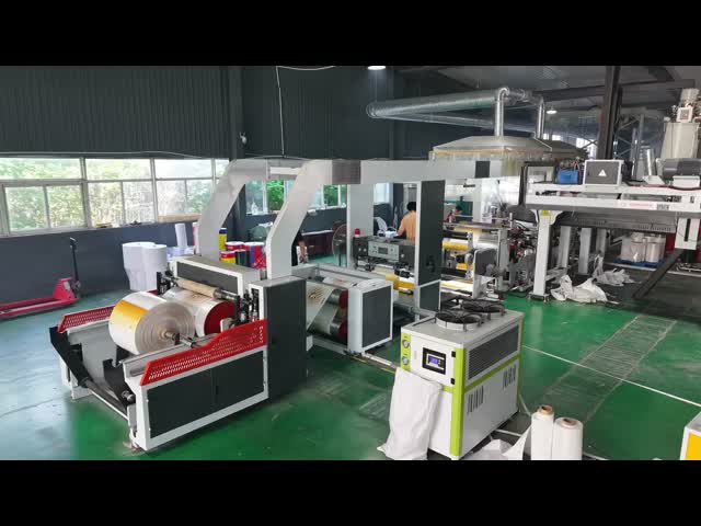 UV Resistant Heavy Duty PE Bags Pp Sack Eco Friendly Packaging Solutions