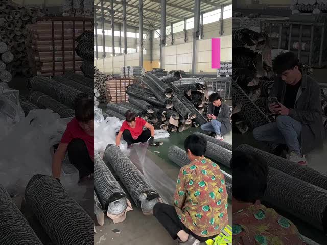 Galvanized Hexagonal Chicken Wire Mesh Screen 0.9 X 30 M Roll Anti Oxidation