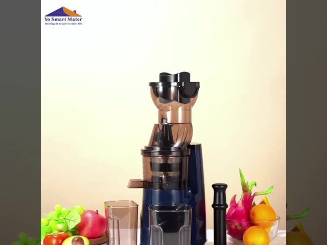 1000W Electric Juicer Machine 220V-240V 50HZ-60HZ Frequency With Button Control