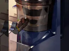 1000W Electric Juicer Machine 220V-240V 50HZ-60HZ Frequency With Button Control