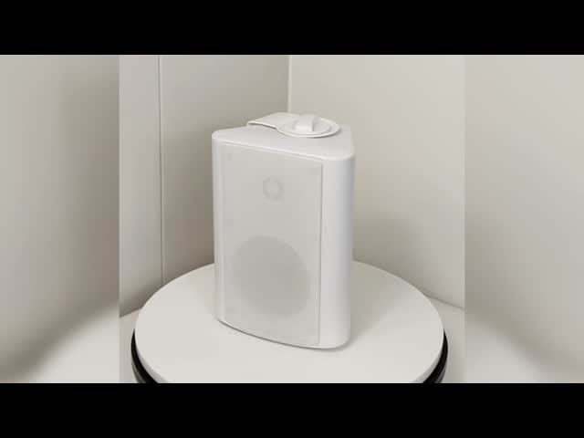 30W/15W/7.5W/3.75W/8ohm 5-inch Woofer Wall Speaker Silk Tweeter Two Way Speaker 70V/100V OEM ODM