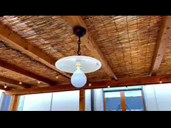 Led Outdoor Lights with Warm White Light Color and Input Voltage of AC 110V/220V