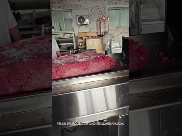 High Efficient Frozen Meat Flaker Cutting Machine for -18 Degree Frozen Bonelness Crusher