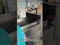 China 750W 500KG/H Banana Plantain Chip Ginger Shredding Machine supplier
