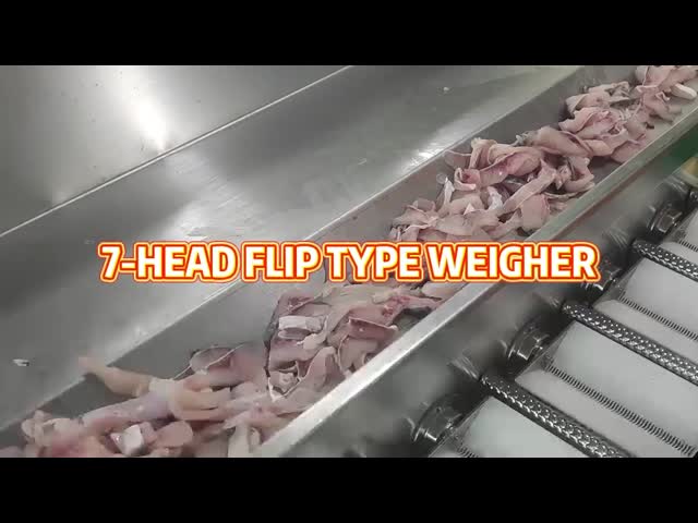 Doypack Auto Fill Seal Pouch Bag Packaging Machine Cuttlefish Seafood Flip Multi Head Scale Premade Bag Packing Machine