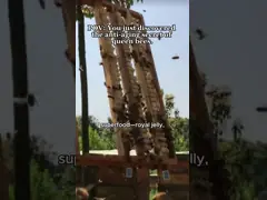 2,2% gelée royale fraîche organique de 10-HDA Jelly Natural Bee Honey Royal video