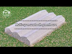 Baolida 8x12.5m Film Greenhouse with 3.5m Height Galvanized Steel Frame