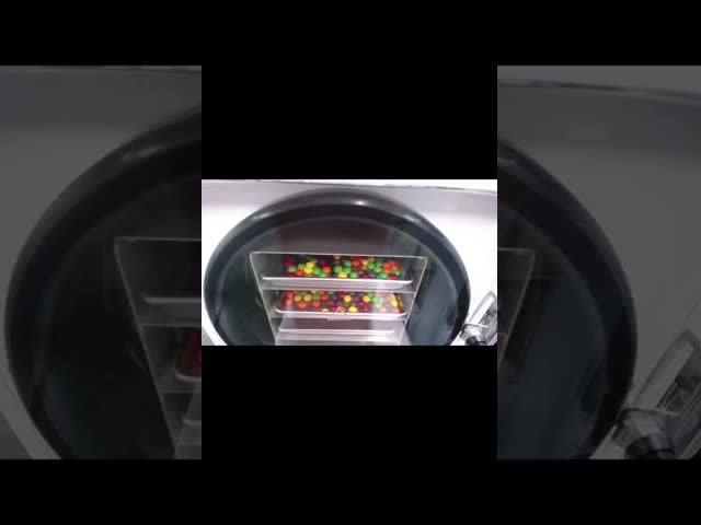 Home Freeze Dryer Lock in Freshness Save Money  Reduce Food Waste