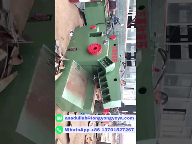 Hydraulic Alligator Shear For Metal Waste Cutting – 800mm Blade, Compact Design  Manual & PLC Operation