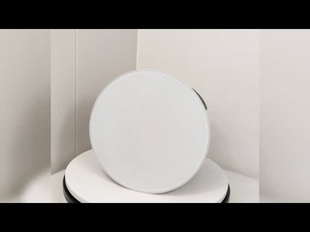 6-inch Coaxial Speaker 40W Commercial Audio Ceiling Loudspeaker For Restaurant Hotel Public Address System