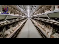 China Durable Egg Gathering Belt For Commercial Poultry Production supplier