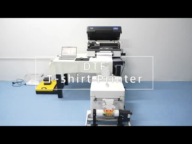 Desktop 300mm DTF Transfer Inkjet Machine Tshirt Printer with F1080 XP600 Head